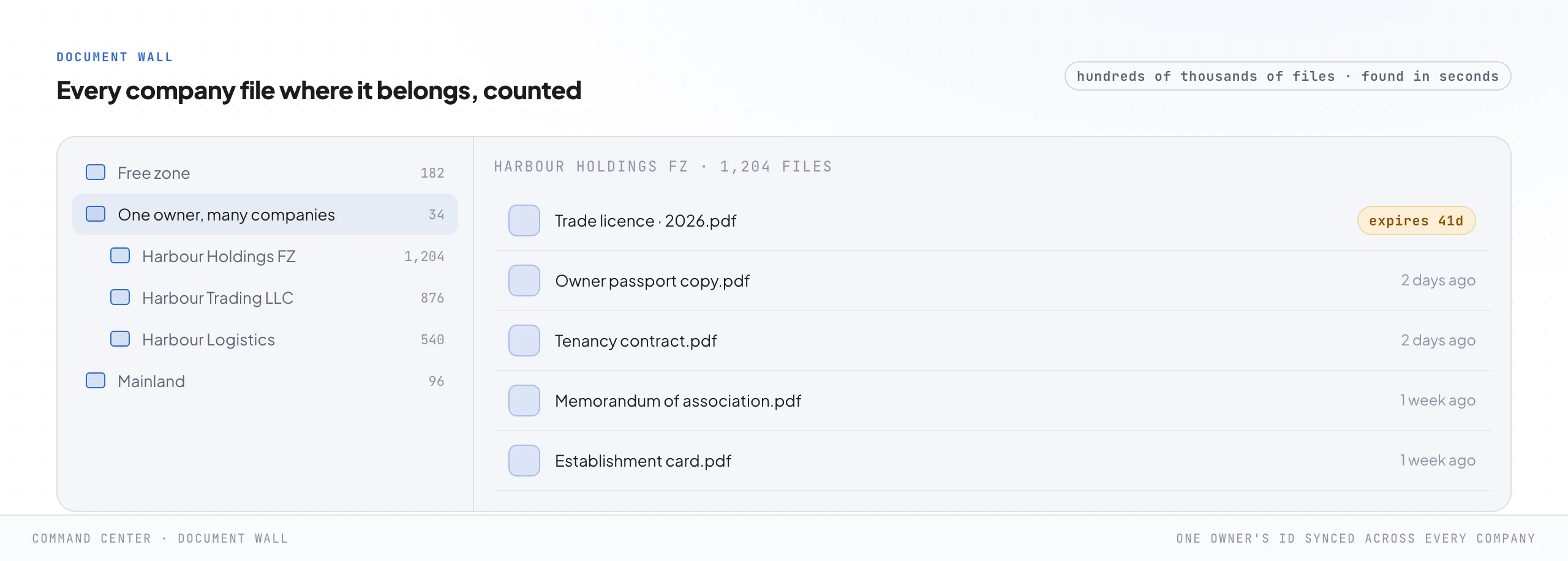 A folder navigator showing a tree of company folders with file counts on the left, including a group called "one owner, many companies", and the files inside one company folder on the right, including a trade licence flagged as expiring in 41 days and an owner passport copy.