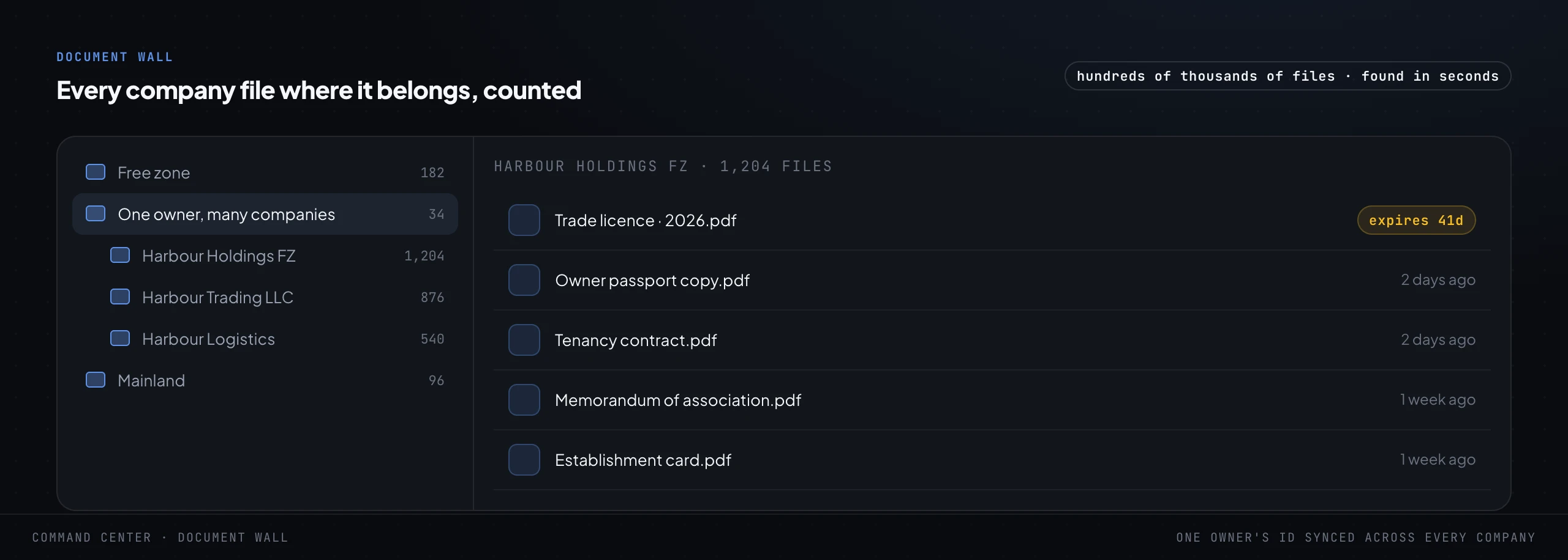A folder navigator showing a tree of company folders with file counts on the left, including a group called "one owner, many companies", and the files inside one company folder on the right, including a trade licence flagged as expiring in 41 days and an owner passport copy.
